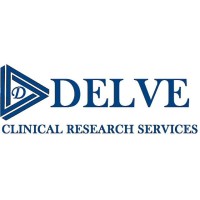 DELVE - CR Services logo - Similar company to Mitra Business Solution