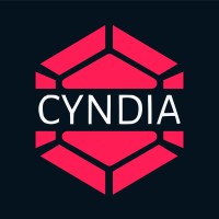 CYNDIA CYBERSPACE LLP logo - Similar company to N7 Security Club