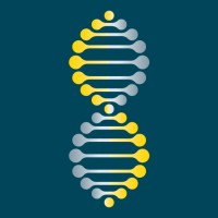 Strobia Creative logo - Similar company to Datajourneyhq