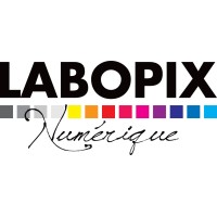 Labopix logo - Similar company to Samsag