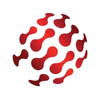 SANeForce logo - Similar company to Sandforce