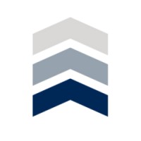 Next Level Strategic logo - Similar company to Managepoint