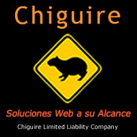 Chiguire Limited Liability Company logo - Similar company to Wink Engineering