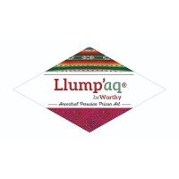 Llump'aq-beWorthy.pe logo - Similar company to Kiwine