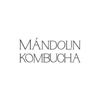 Mandolin Kombucha logo - Similar company to Dominga Kombucha