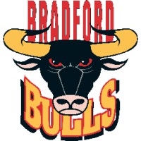 Bradford Bulls RLFC logo - Similar company to Wakefield Trinity