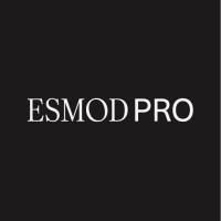 ESMOD PRO logo - Similar company to Esmod Isem
