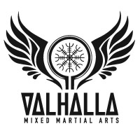 ValhallaMMA logo - Similar company to Conscious Combat Club