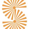 Sunshine India Inc logo - Similar company to Dev International