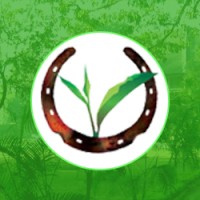 Purvi Discovery logo - Similar company to The Beginners Coach