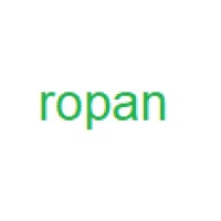 Ropan logo - Similar company to Ropan.In