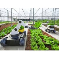 Digital Agroworld logo - Similar company to The Startup Pulse