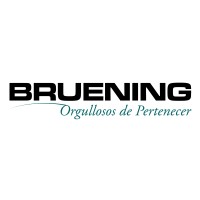 BRUENING S.A. logo - Similar company to Neumaservicio Ltda.