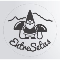 EntreSetas logo - Similar company to Onesimum