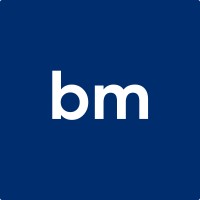 Biz Millennium logo - Similar company to Voxnic