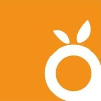 Orangic Business Services India LLP logo - Similar company to Galas It Solutions Pvt. Ltd.