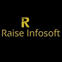 Raise Infosoft logo - Similar company to Newsoft Infotech