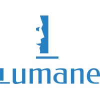 Lumane logo - Similar company to Experts & Co