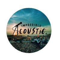 Impossible Acoustic logo - Similar company to Coed Studios