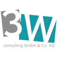 3W Consulting GmbH & Co. KG logo - Similar company to Mr Systeme Gmbh