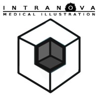 Intranova Medical Illustration logo - Similar company to Anatomii Studio
