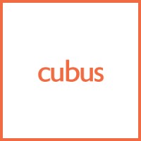 Cubus logo - Similar company to Ingware Ag