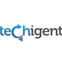 Techigent Technologies Pvt Ltd logo - Similar company to Iris Waves Pvt Ltd