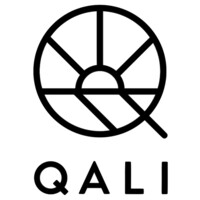 QALI logo - Similar company to Qlai