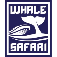 Whale Safari logo - Similar company to Elding Adventure At Sea