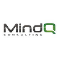 MindQ Consulting AB logo - Similar company to Mindq