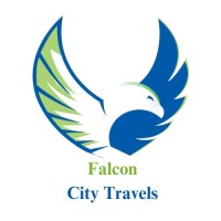 Falcon City Travels Llc