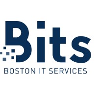 Boston IT Services Inc logo - Similar company to The Tech Evolution