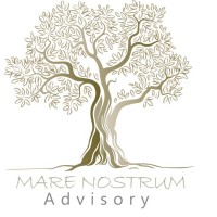 Mare Nostrum Advisory logo - Similar company to 3Nity Capital Pte Ltd
