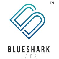 Blueshark Labs logo - Similar company to E6Websolutions