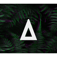 Samambaia.   The Next Agency. logo - Similar company to Wikiverse