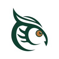 Owl Eye logo - Similar company to Pixelforge