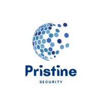 Pristine Security ROI logo - Similar company to Pristine Security Irl Ltd