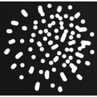 wisio.app logo - Similar company to Speechtext.Ai