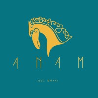 Anam Media logo - Similar company to Youmore