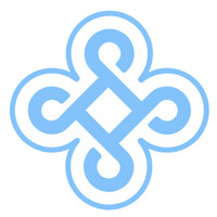 Salus Solutions logo - Similar company to Birdi Ai