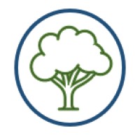 🌳 Canopy - Coaching and Consulting Services logo - Similar company to Canopy Consulting Llc