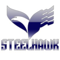 Steelhawk Security Agency logo - Similar company to Phitelco Managed Service Provider