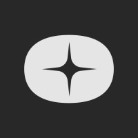 Pleon GmbH logo - Similar company to Orcus