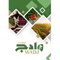 wadj logo - Similar company to Software-Stratege.De
