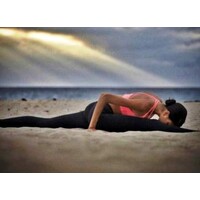 Shivananda Yoga International logo - Similar company to The Digital 100