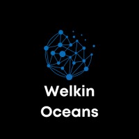 Welkin Oceans logo - Similar company to Wired4Cloud