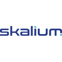 Skalium Sp. z o. o. Sp. k. logo - Similar company to Pikseo