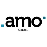 AMO Conseil logo - Similar company to Amo Conseils