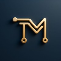TechnoMore Solutions Pvt Ltd logo - Similar company to Technomore Solutions