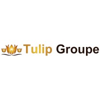 Tulip Groupe logo - Similar company to Cloudneering